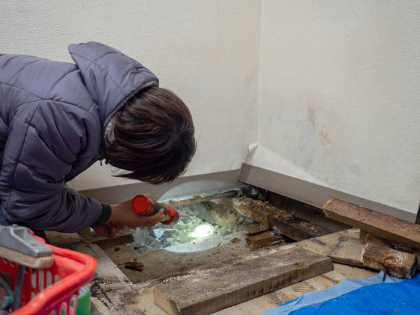 Best Crawl Space Mold Remediation  in Berea, SC