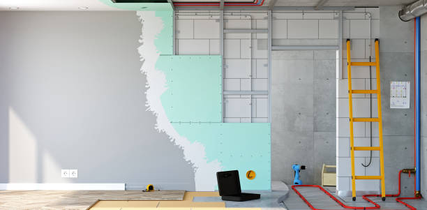 Best Mold Odor Removal Services  in Berea, SC