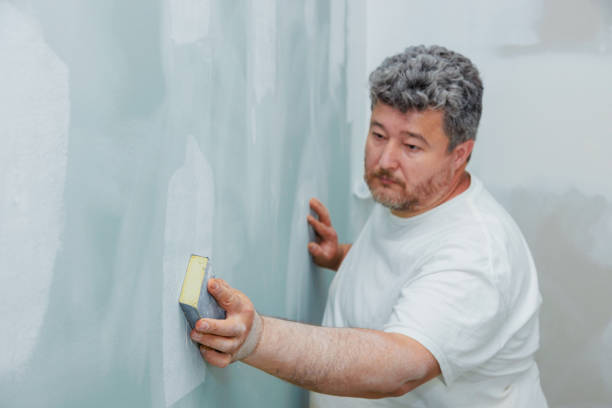 Trusted Berea, SC Mold Removal Experts