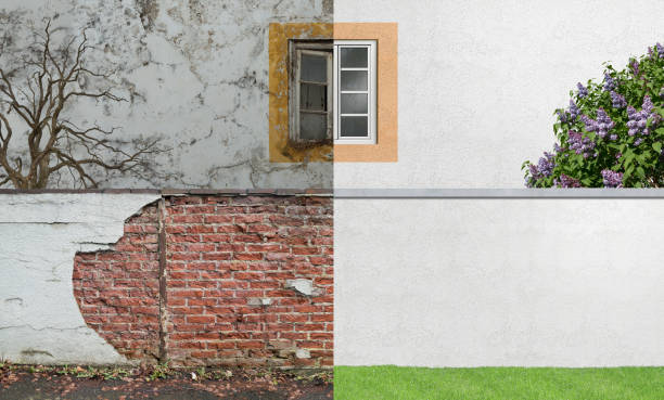Best Comprehensive Air Testing for Mold Contaminants  in Berea, SC