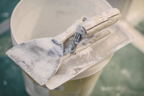 Biohazard Mold Removal in Berea, SC